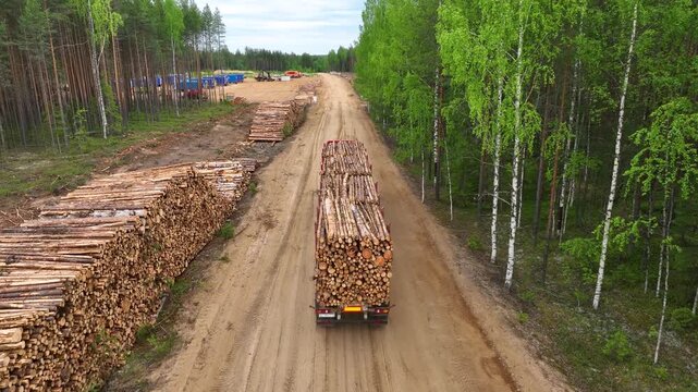 A logging truck carries timber along a forest road