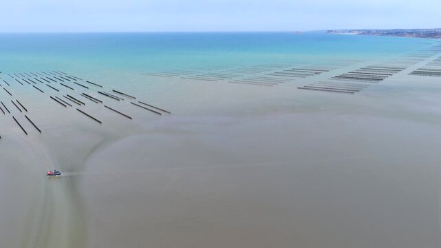Aerial view of farmers harvesting mussels and oysters at low tide