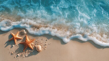 Fototapeta premium Starfish Serenity: Two vibrant starfish bask on a sun-kissed shore, gentle waves caressing the sand, creating a tranquil beach scene of coastal peace.