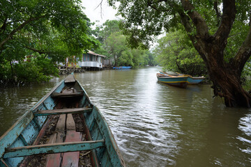 tropical estuary with lush green vegetation, traditional boats, soft cloudy sky