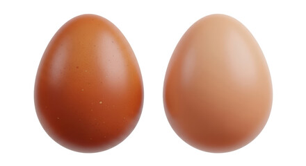Isolated Two Chicken Eggs