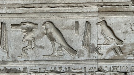 Edfu, Egypt - Feb 9, 2025: Close-up of ancient Egyptian hieroglyphs carved in stone at the Temple of Horus in Edfu, showing falcon and other figures.