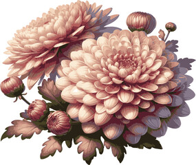 Chrysanthemum Flower Bundle 