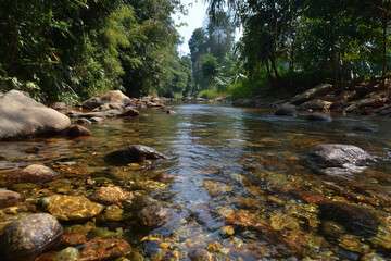 Obraz premium large natural stones on the river bank, smooth mossy surface, cool natural atmosphere, sunlight shining through