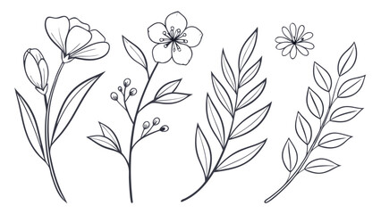Floral Line Art Set Botanical Illustrations of Flowers and Leaves for Design Projects.