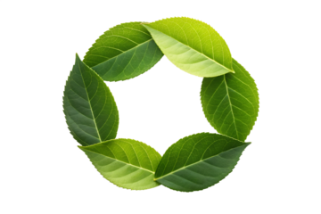 Eco-Friendly Circle A Refreshing Green Leaf Border Perfect for Nature-Themed Designs, Emphasizing Organic Elements