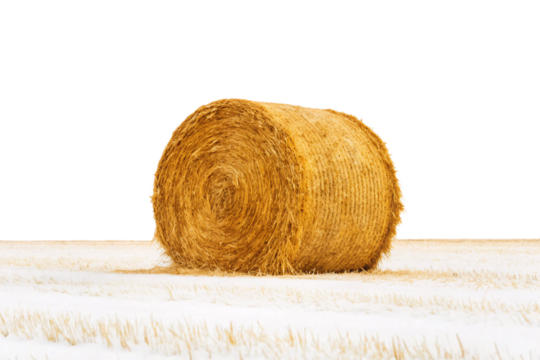 Golden round hay bale resting on harvested grain field with horizon, isolated on a transparent background