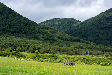Sea of Okhotsk East Hokkaido Japan オホーツク海　道東　北海道