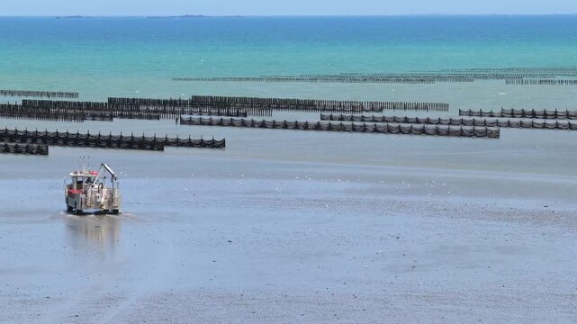 Aerial view of farmers harvesting mussels and oysters at low tide