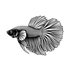 Fototapeta premium Betta Fish Icon – Detailed Black and White Line Art Vector of Siamese Fighting Fish with Flowing Fins – Elegant Aquatic Animal Illustration for Logo, Tattoo, Aquarium Design, Nature Symbol, Decorative