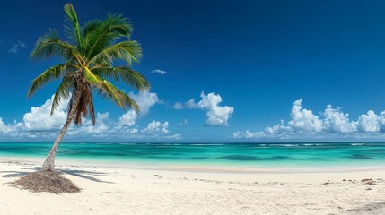 stunning panoramic view of a towering coconut palm tree on a pristine white sandy beach in punta cana, dominican republic the palm&acirc;&euro;&trade;s long, arching fronds sway gently in the tropical breeze, casting