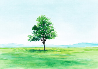 Fototapeta premium A green field with just one tree in the middle, a simple watercolor illustration for kids, with pastel colors and a clear background.