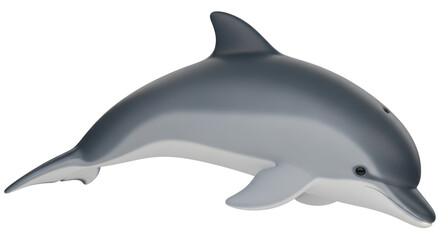 Fototapeta premium Isolated Dolphin