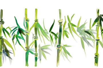 Fototapeta premium Bamboo watercolor border plant white background freshness.