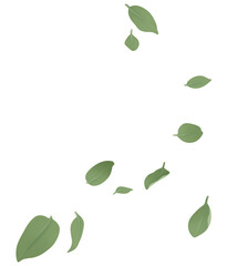 나뭇잎, 네이처, 식물, 에코, 삽화, 도안, green, 바람, 날리다