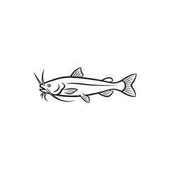 Detailed line art of a catfish swimming an illustration representing wildlife in freshwater habitats ideal for educational materials and fishing guides