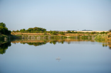 Fototapeta premium Still waters mirror the soft greenery and golden fields beneath a wide blue sky, evoking rural calm and natural harmony.
