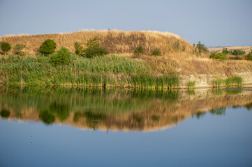 Golden grasses meet lush green reeds along a tranquil water’s edge, mirrored perfectly beneath a...