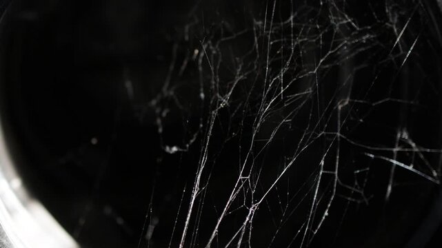 Shimmering spiderweb threads in complete darkness.