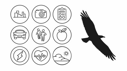 Icons of Life Nature Health and Daily Activities with Silhouette of a Soaring Bird.