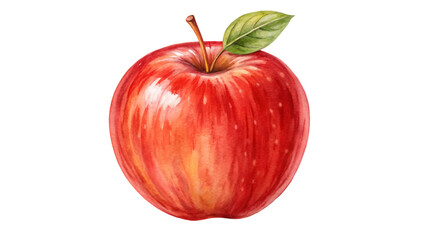 red apple isolated watercolor illustration isolated on transparent background isolated on white background