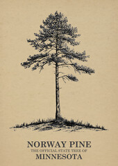 Minnesota State Tree Norway pine Wall art Poster, Illustration For Wall Hanging Home Decoration Vintage Wall Art, Us State Poster