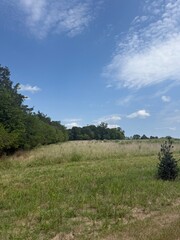 Obraz premium green field and blue sky