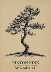 New Mexico State Tree Pinyon pine Wall art Poster, Illustration For Wall Hanging Home Decoration Vintage Wall Art, Us State Poster