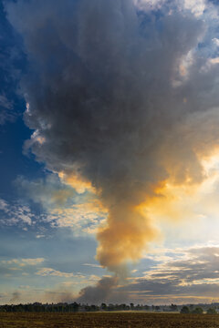 Smoke cloud rising at sunset from burning stubble on farmland