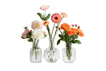 Floral Trio: A captivating composition featuring a trio of vases gracefully displaying a vibrant assortment of fresh, colorful flowers, creating a sense of natural elegance and delicate beauty.