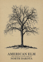 North Dakota State Tree American elm Wall art Poster, Illustration For Wall Hanging Home Decoration Vintage Wall Art, Us State Poster