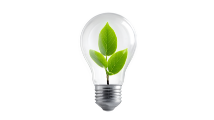 Concept eco energy bulb with sprouting green leaf