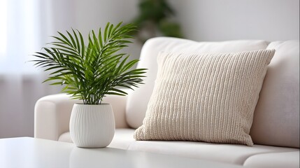 A cozy living room with a comfortable couch, a decorative plant, and a plush pillow. long_title:A minimalist and serene living room setting with a soft
