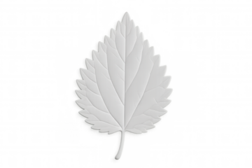 White leaf floating against transparent surface, symbolizing natural purity and minimalist design aesthetic