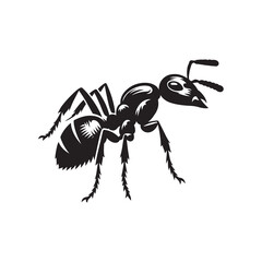 Worker Ant Vector Silhouette, Nature Graphic