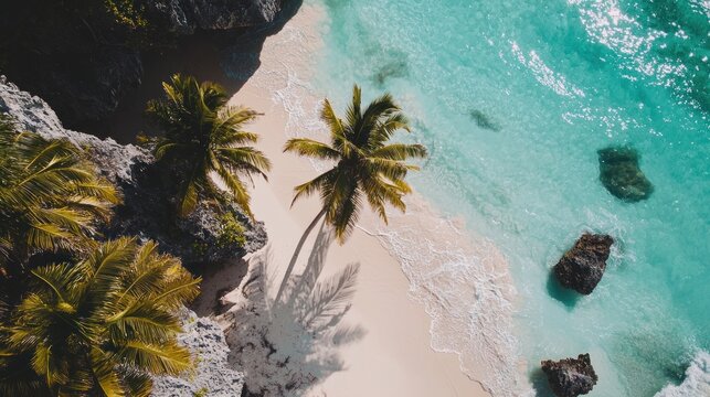 Aerial view of secluded tropical beach with palm trees, turquoise water, and rocky cliffs. - Powered by Adobe