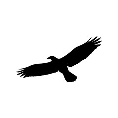 A striking silhouette of a bird of prey soaring through the sky