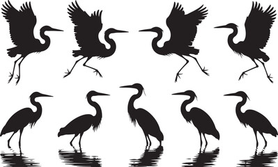 Heron silhouettes