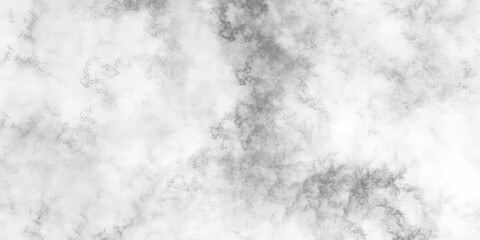 Abstract Watercolor gray  background painting. Beautiful stylist modern gray texture background with smoke gray textures for making flyer, poster, cover, banner and any design.