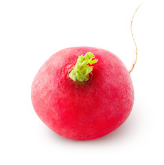 One raw radish vegetable isolated on white background