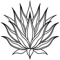 Minimalist Aloe-Cactus Hybrid Drawing