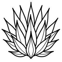 Minimalist Aloe-Cactus Hybrid Drawing