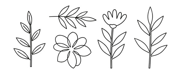 Botanical Outlines Set with Flowers and Leaves, Floral Design Elements for Decoration, Black and White Vector Illustration.