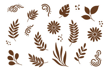 Brown Botanical Elements, Ferns and Flowers, Isolated on White Background, Boho Style Organic Shapes Vector Illustration