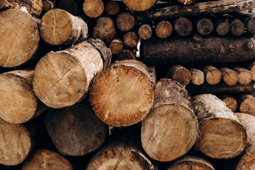 Natural wooden background, close-up of chopped firewood.