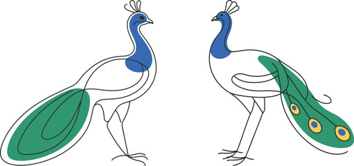 Elegant vector illustration of two peacocks with blue bodies and vibrant green tails with yellow and blue eye spots.