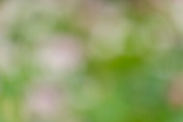 緑とぼかしの抽象的な背景