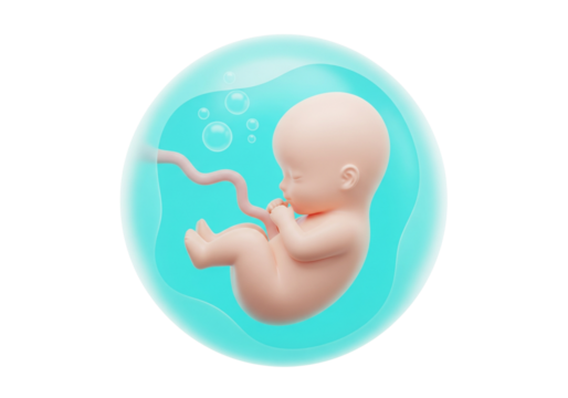 Human Fetus in Amniotic Sac - Prenatal Development Concept 3D Render