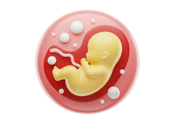 Human Fetus in Womb: 3D Render Illustrating Embryonic Development, Pregnancy, and the Beginning of New Life