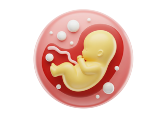 Human Fetus in Womb: 3D Render Illustrating Embryonic Development, Pregnancy, and the Beginning of New Life